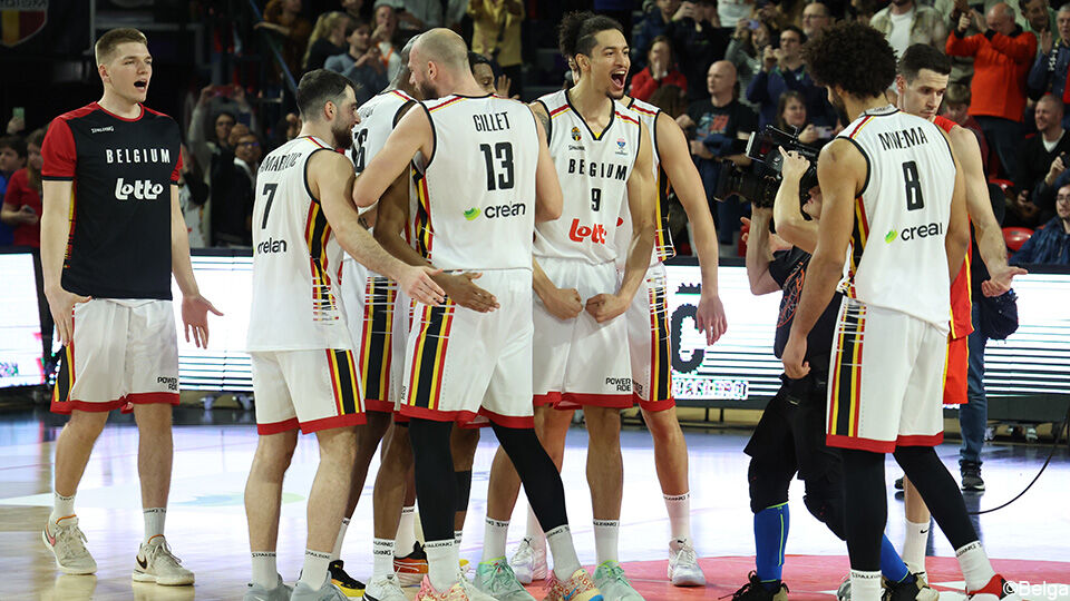 Belgian Lions